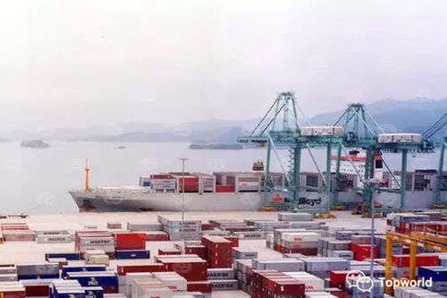 网上贸易代理商品检验费用影响因素分析